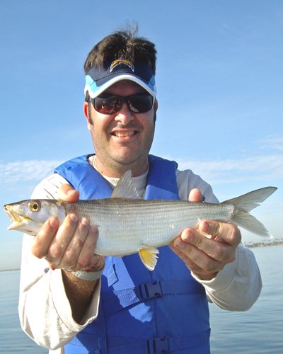 TFIFSDB - Fish San Diego Bay