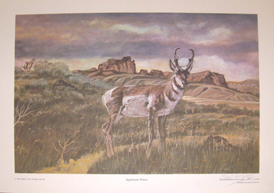 Sagebrush Prince