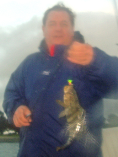 Mission Bay Spotted Sand Bass