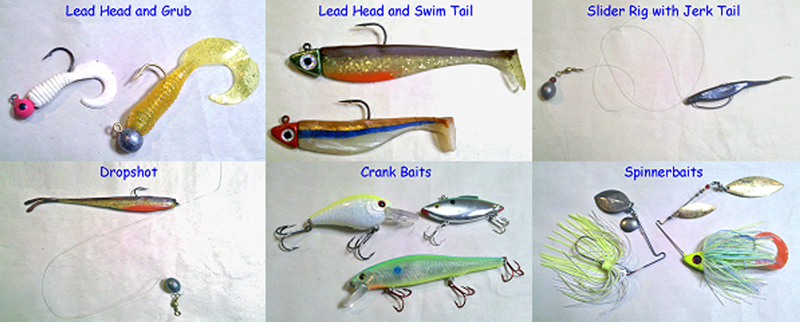 Saltwater – How to crank up Spotted Bay Bass (best baits, tides, tackle and  tactics)