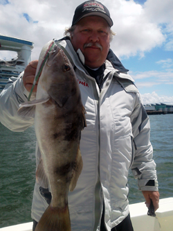 san diego bass fishing, saltwater fishing san diego, fishing guide san diego, san diego fishing charters, freshwater fishing san diego, fishing guide, fishing charters san diego, four pack charter, san diego fishing, bass fishing guide, fishing instruction, freshwater fishing guide, saltwater fishing guide, bay fishing guide, learn to fish, things to do in san diego, san diego bass, fish, fishing report, san diego fishing report, san diego fishing guide report